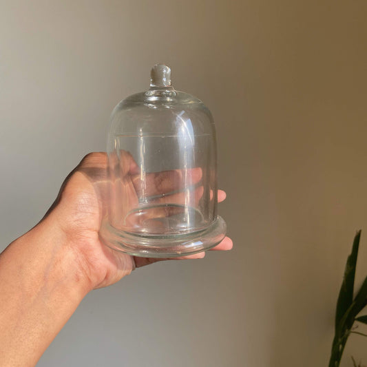 Transparent Bell Jar with Dome