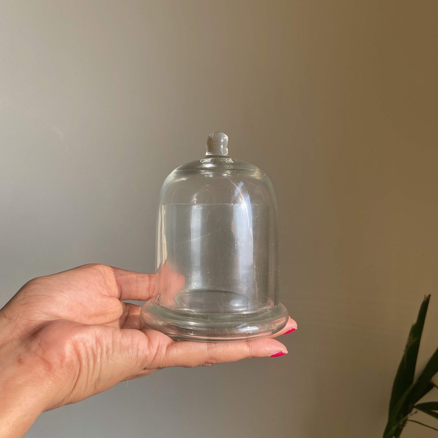 Transparent Bell Jar with Dome